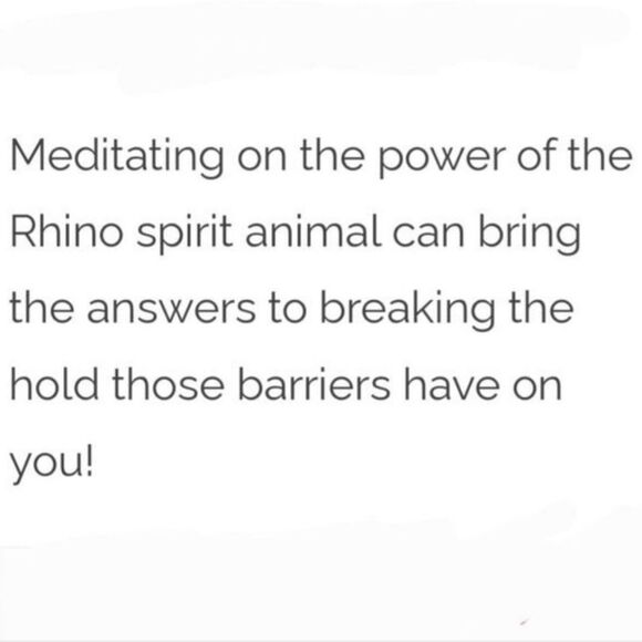 Sterling Silver Rhino Charm Ring 925 Vintage Tribal Size 5 Petite - Picture 10 of 10